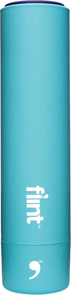 F'lint Retractable Lint Roller